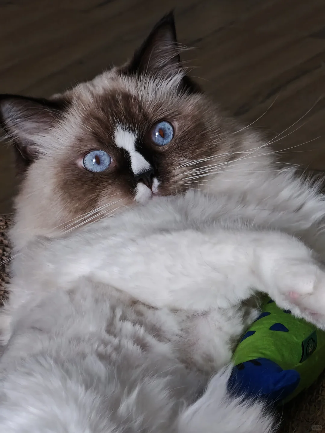 找工作心态崩的每一天