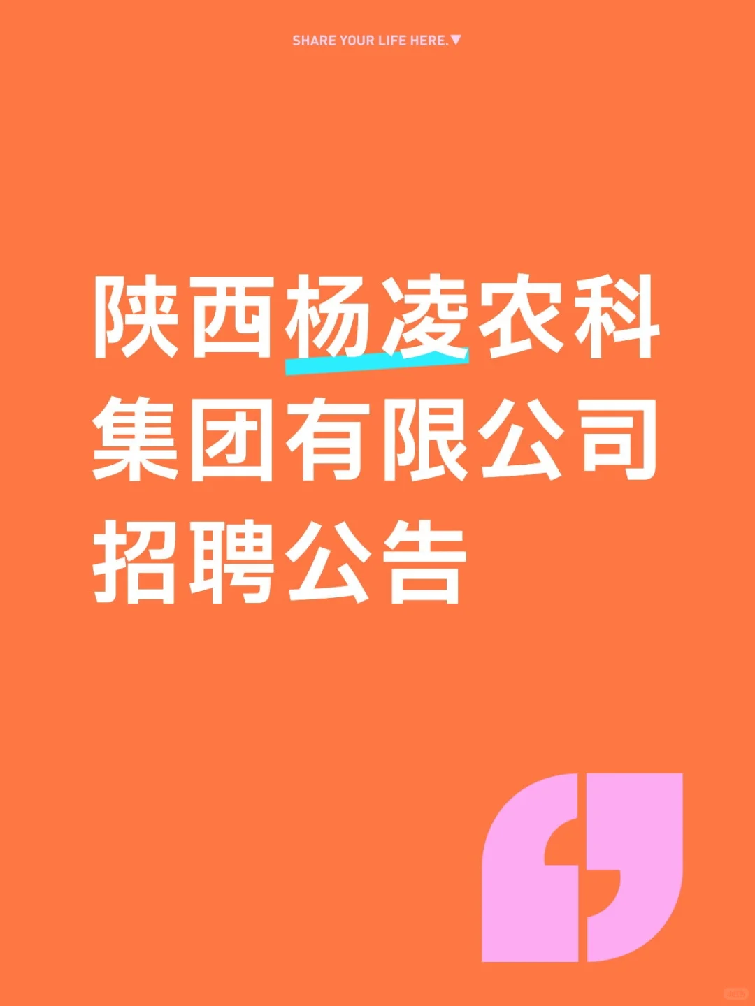 招聘10人