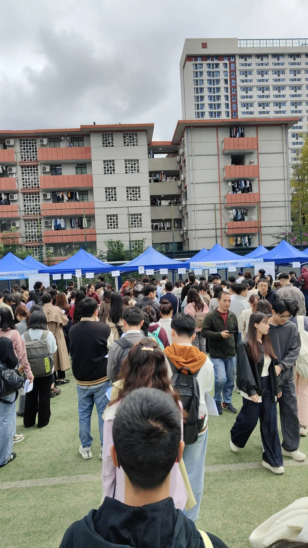 华西双选会感受