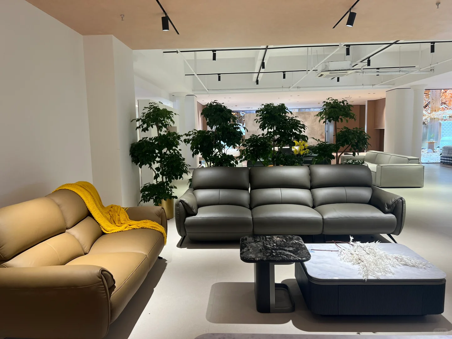 招聘中……扩招4个名额啦