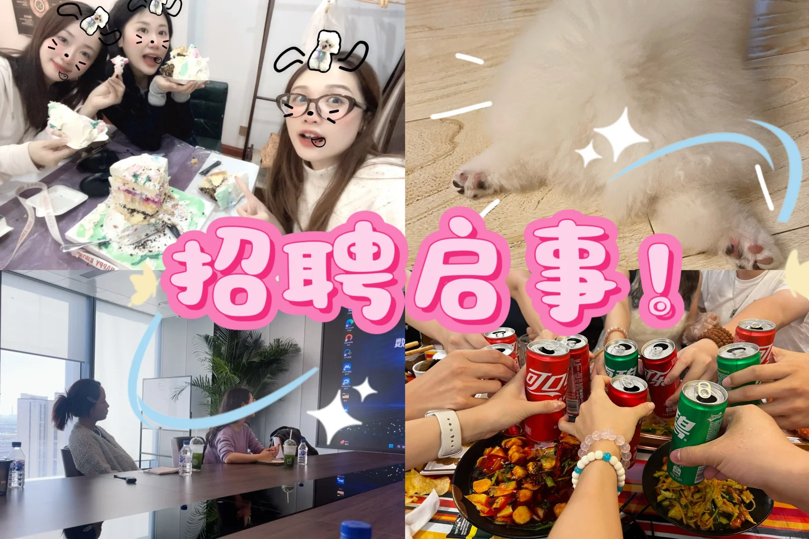 【沈阳招聘】纯文职不销售！！