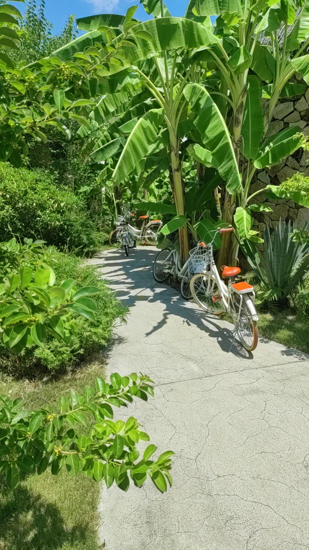 招聘民宿管家：