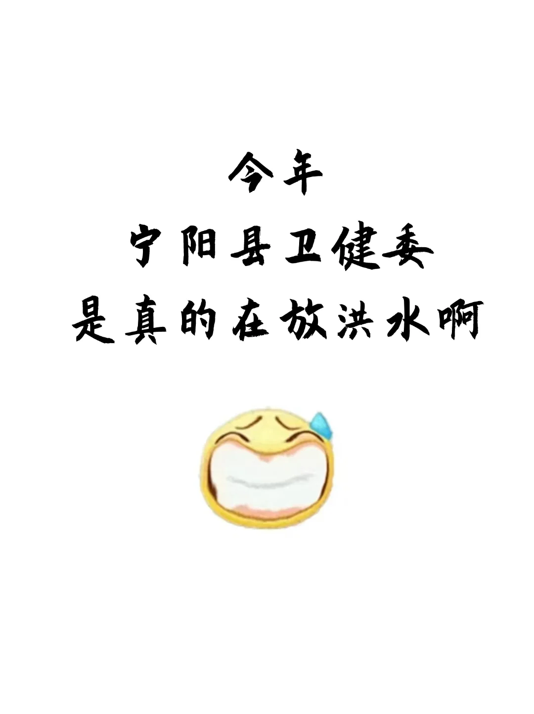宁阳县卫健系统招聘，真的大放水啊背完稳