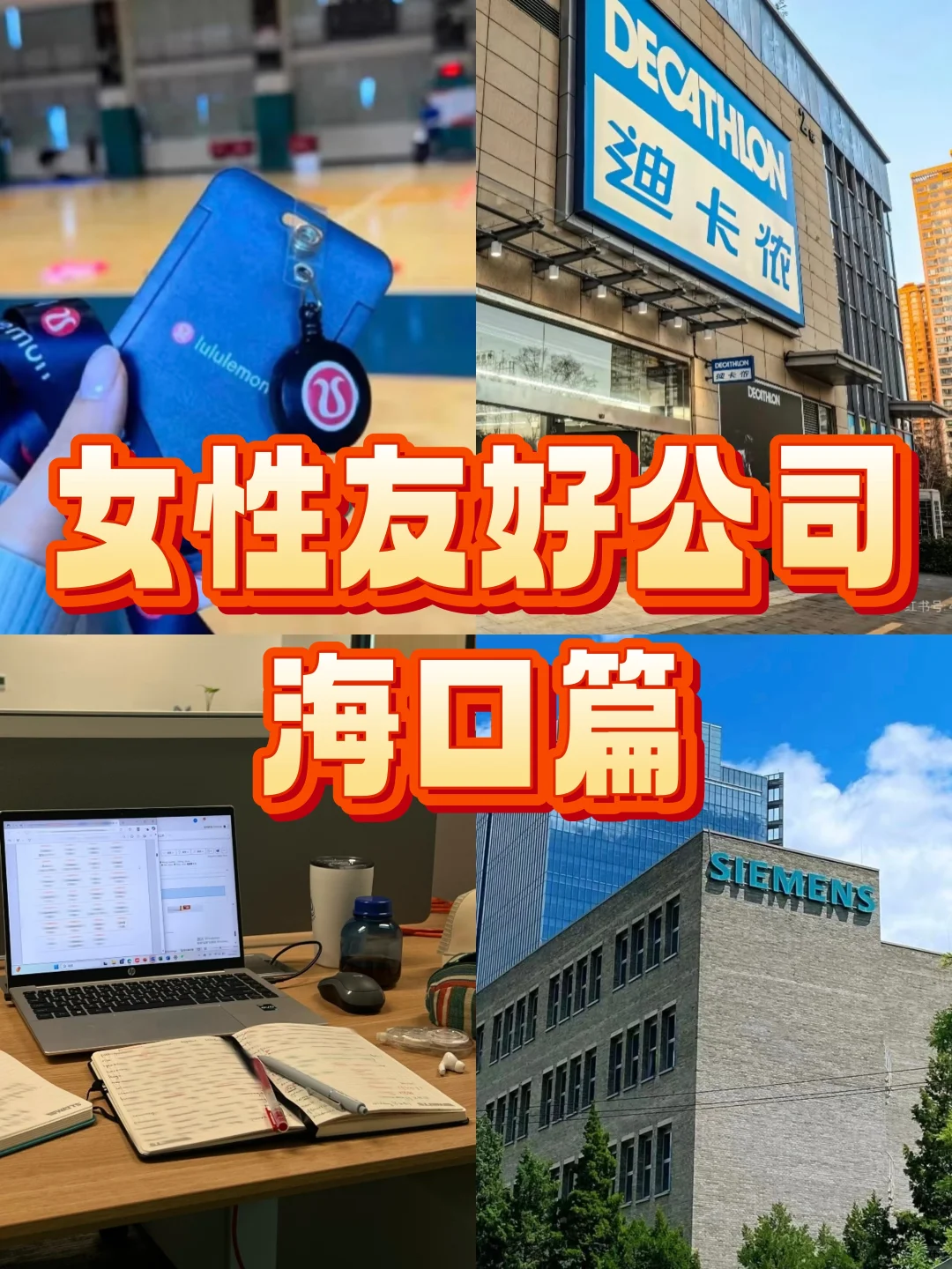女性友好公司—海口篇🌸