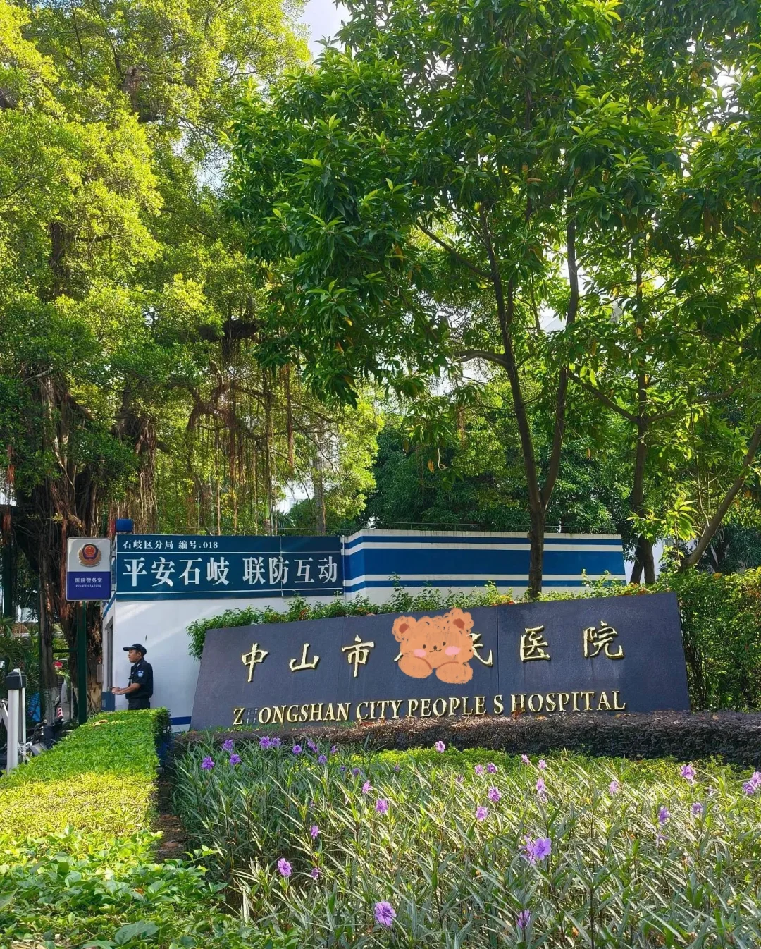 中山市🏥招聘护士