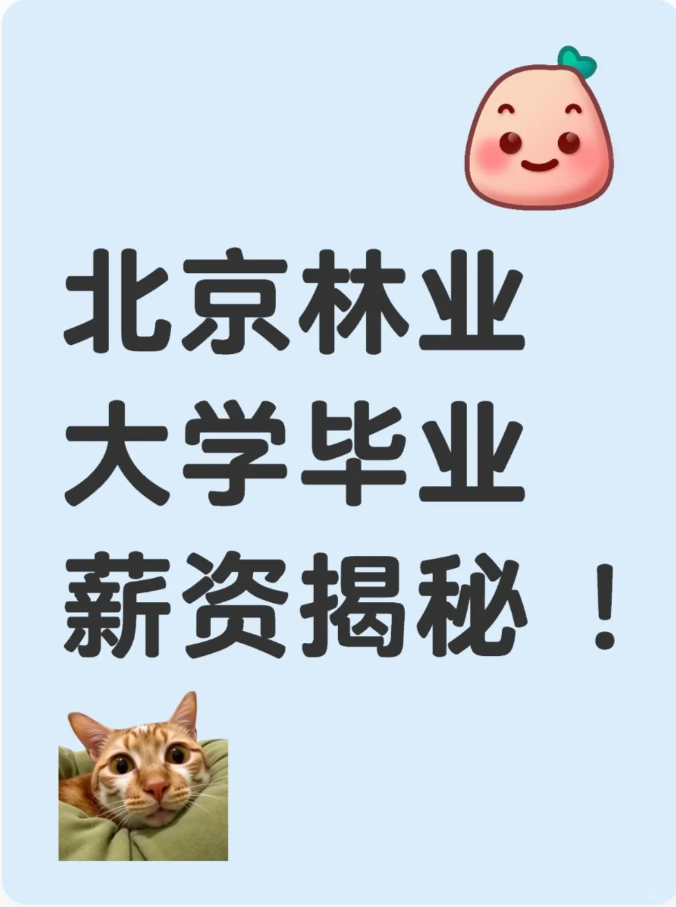 北京林业大学毕业生薪资最新调查来啦 !