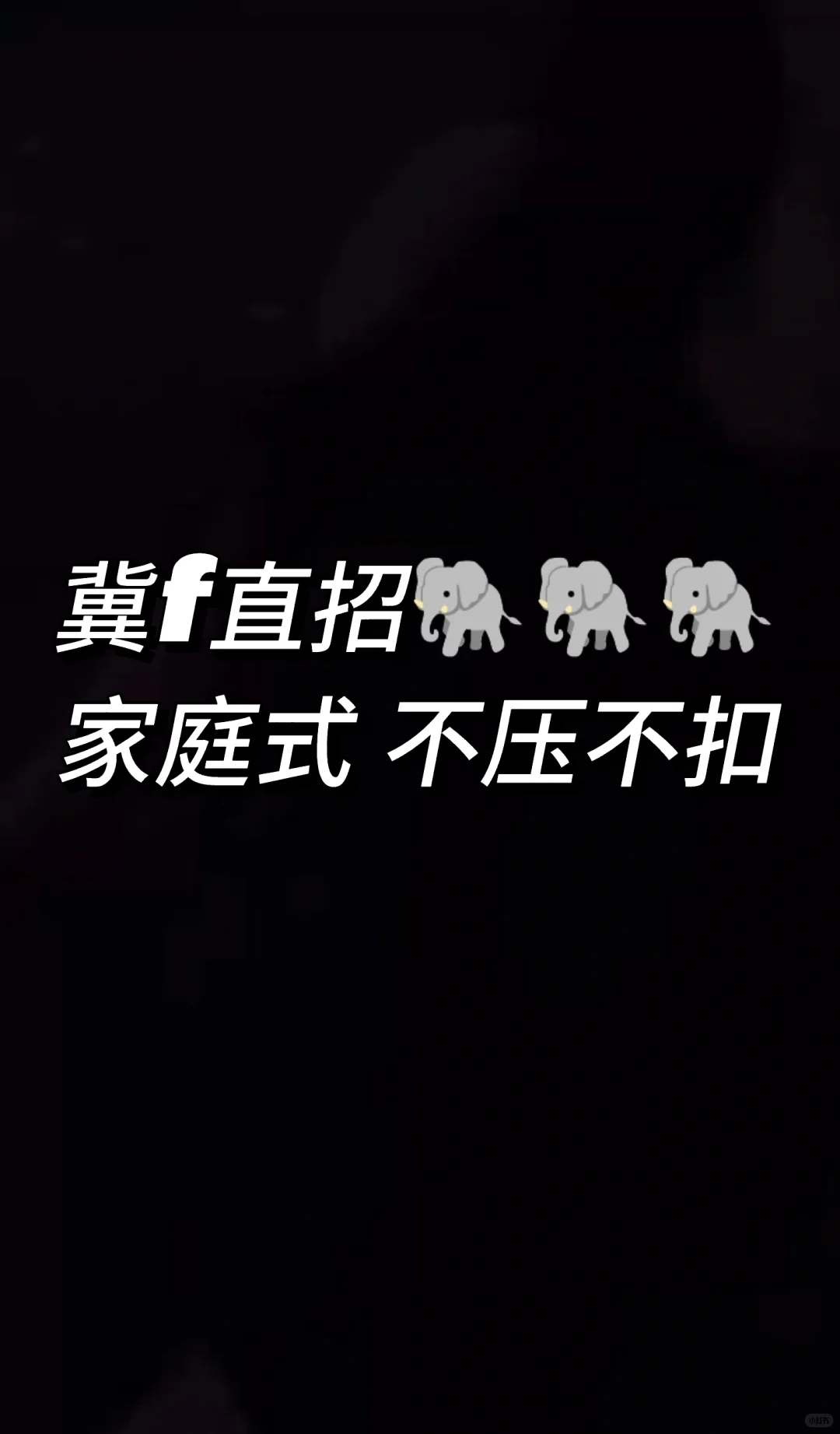 招招招！！！长期有效