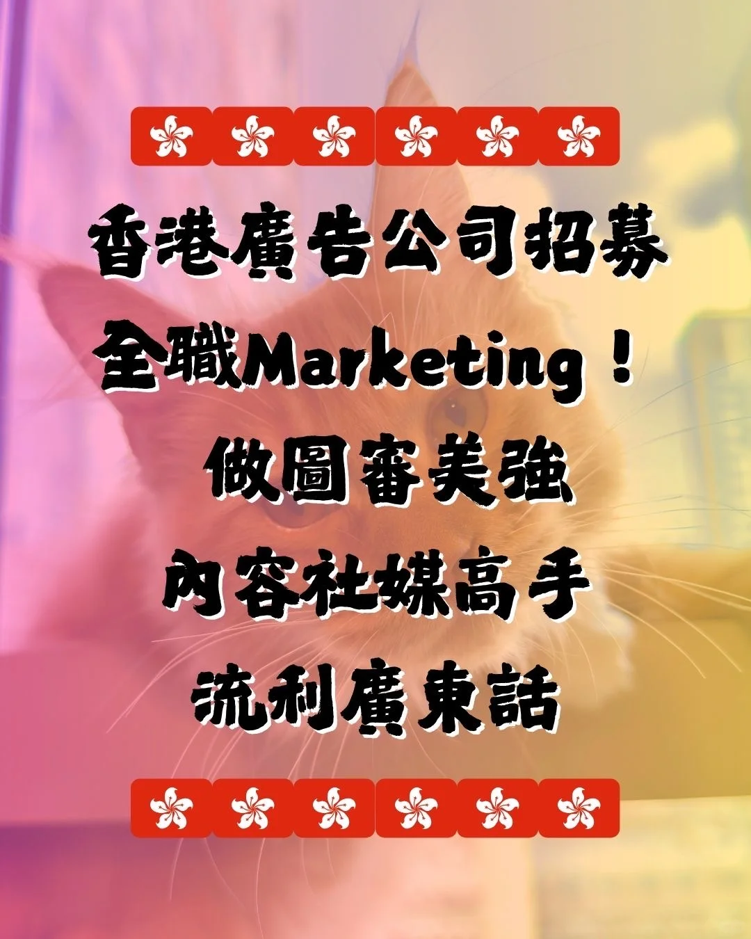 📢【香港廣告團隊 招募全職 Marketing｜廣東