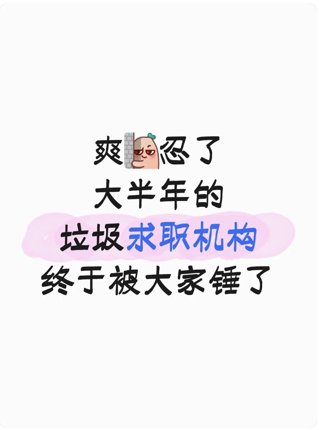 爽🔥忍了大半年的求职机构，终于被锤了！