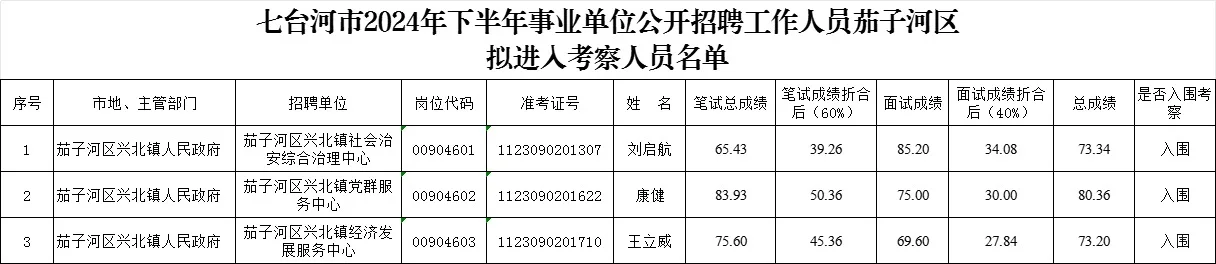 七台河市2024年下半年事业单位总成绩