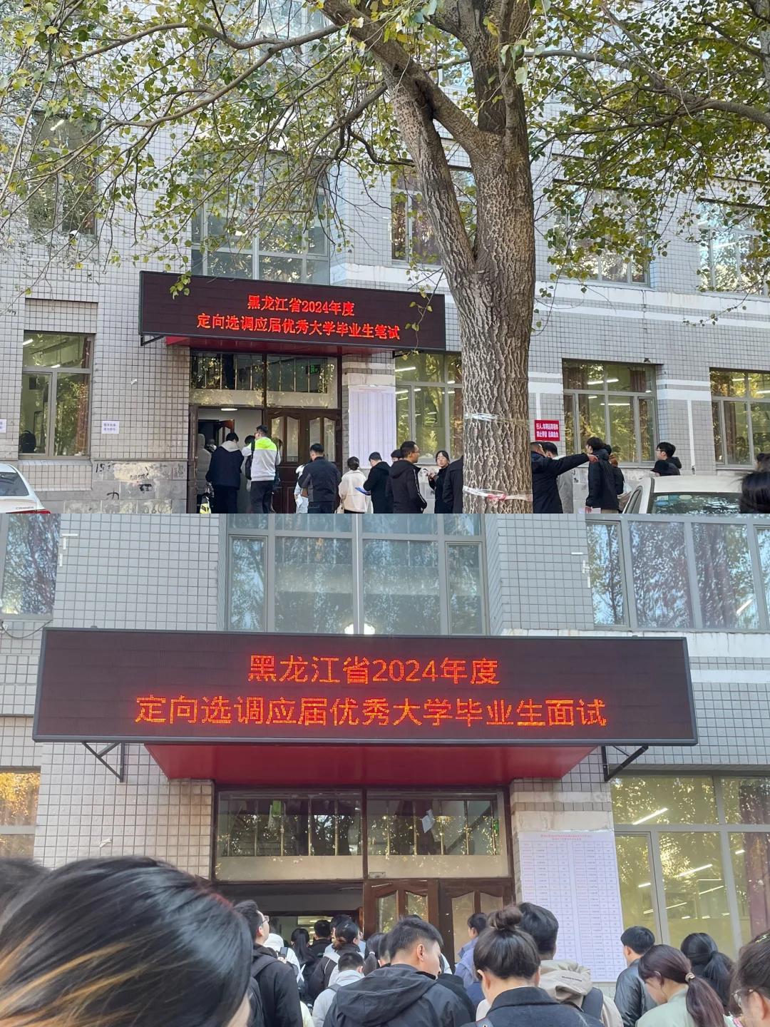 黑定选上岸一年啦
