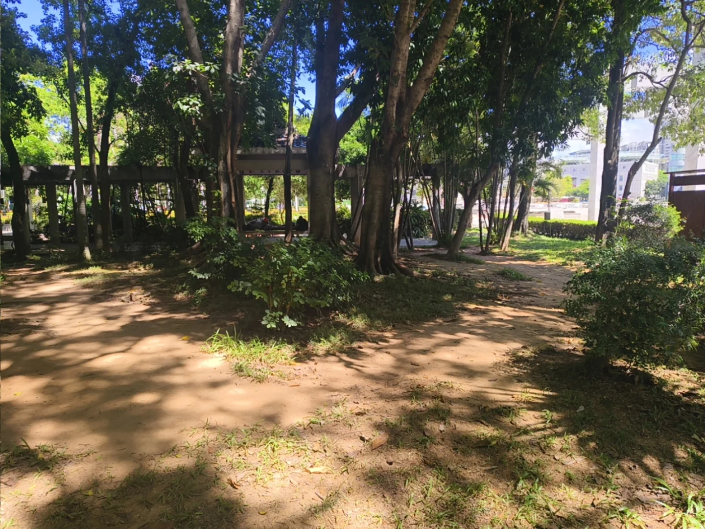 潮州市区招文员