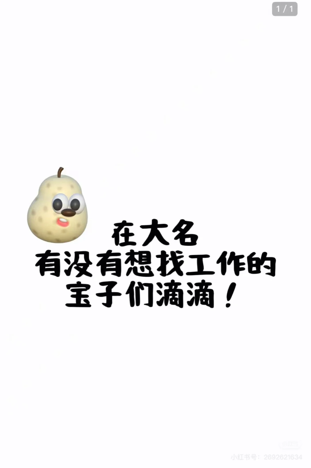 文员、店长，有五险