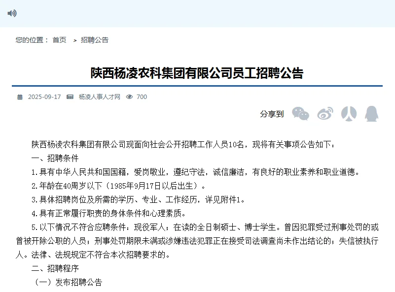 招聘10人