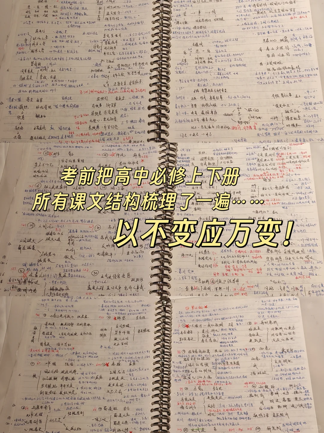 惠州市直，上岸！