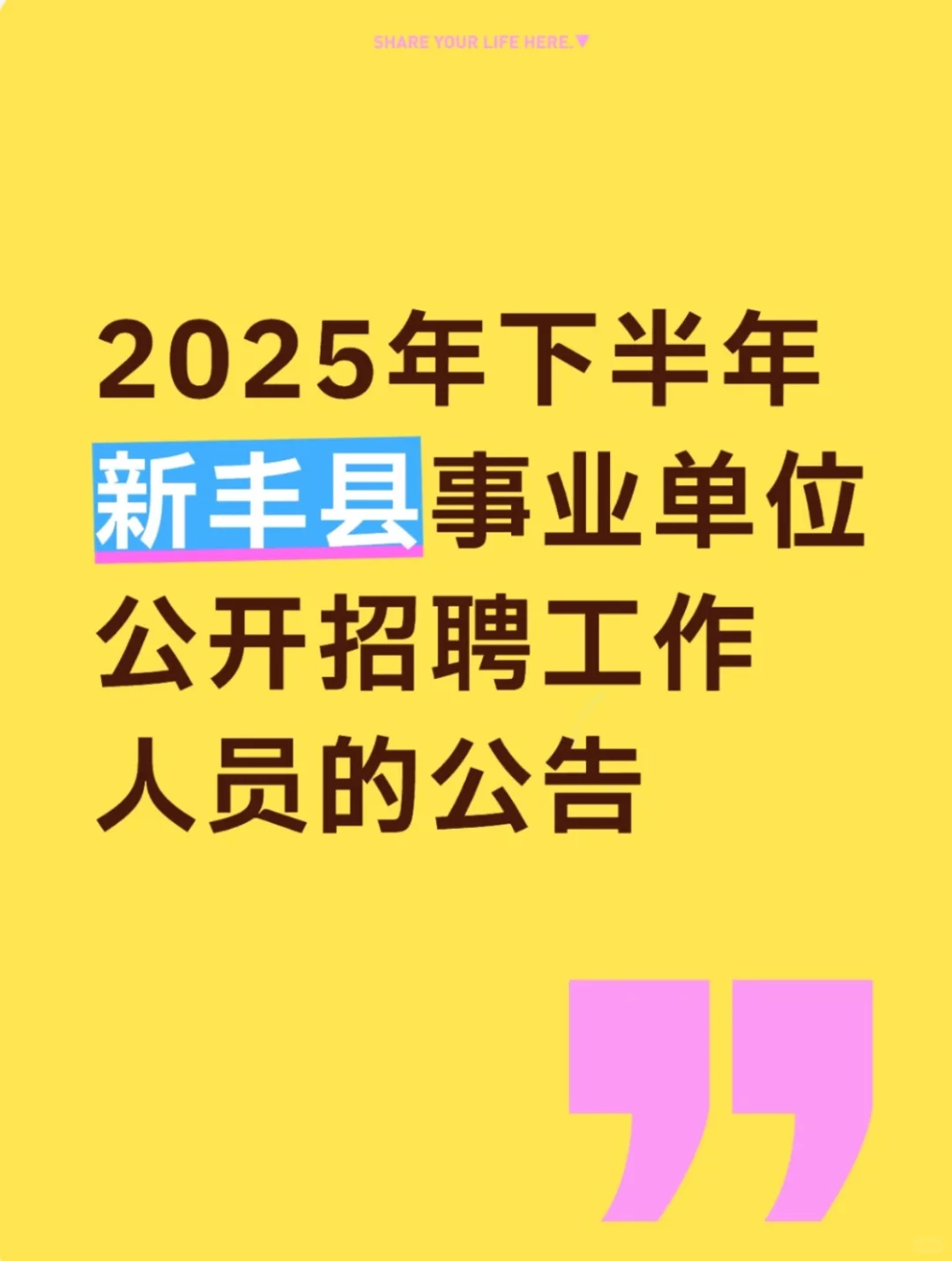 2025年韶关市新丰县事业单位公开招聘公告