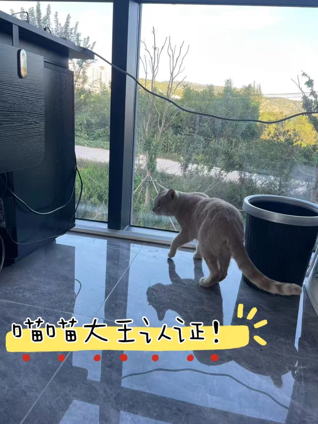 吕梁离石神仙公司