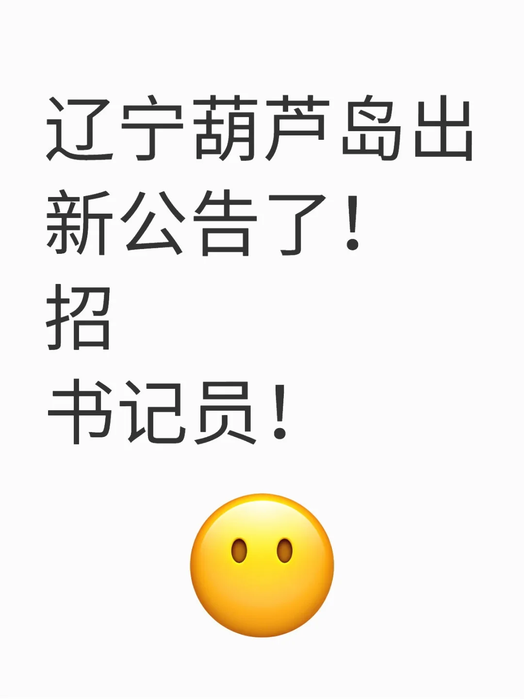 辽宁葫芦岛出新公告了！招书记员！