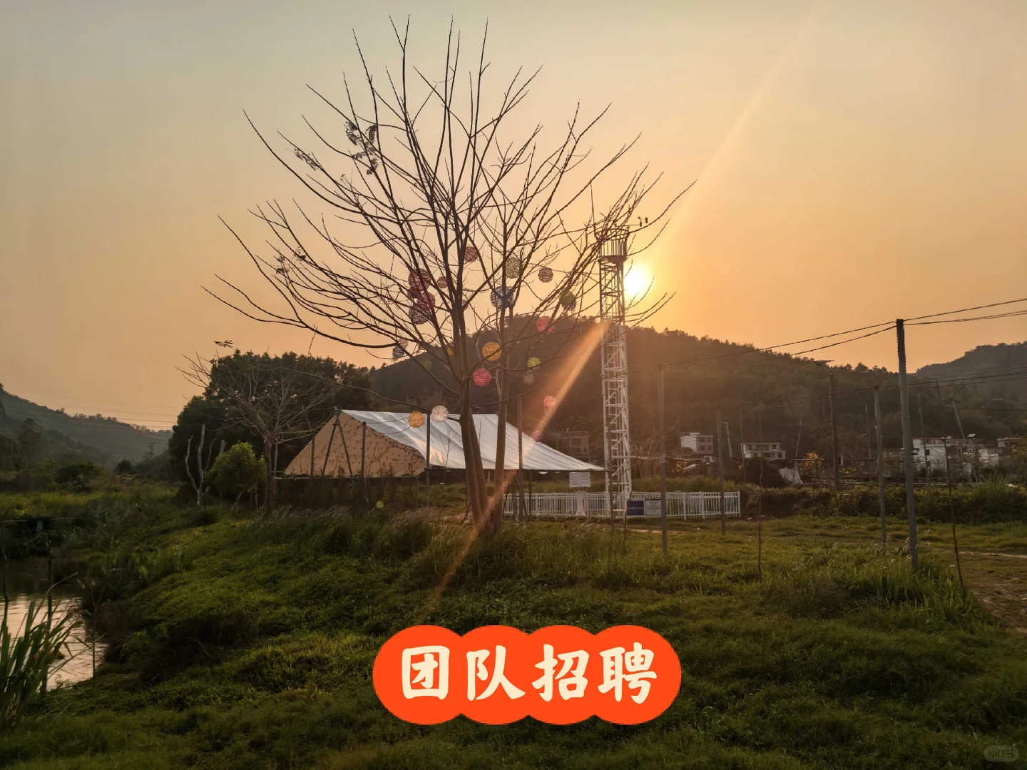 农场招募团队