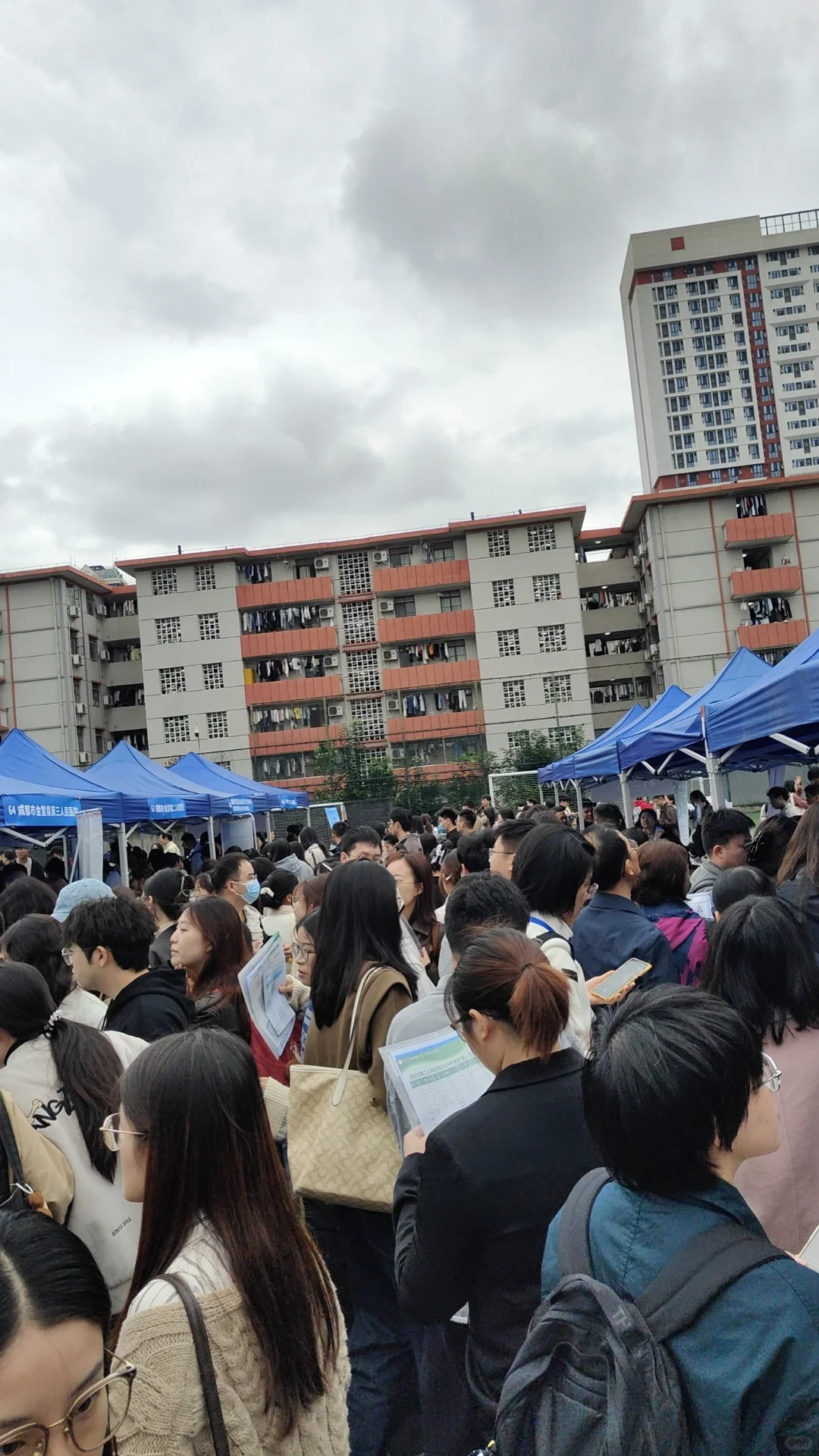 华西双选会感受