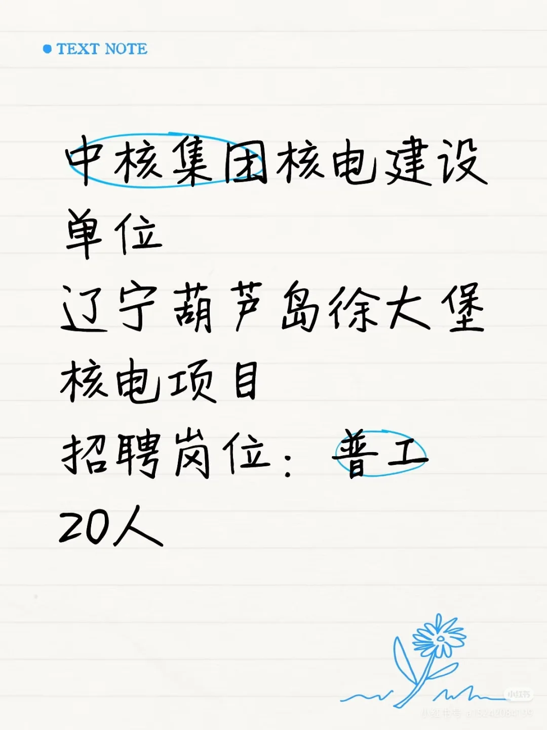 核电站招聘无任何费用
