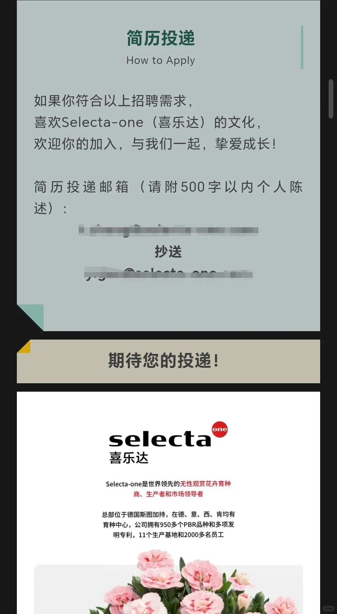 求职信息｜花卉外企•喜乐达招聘
