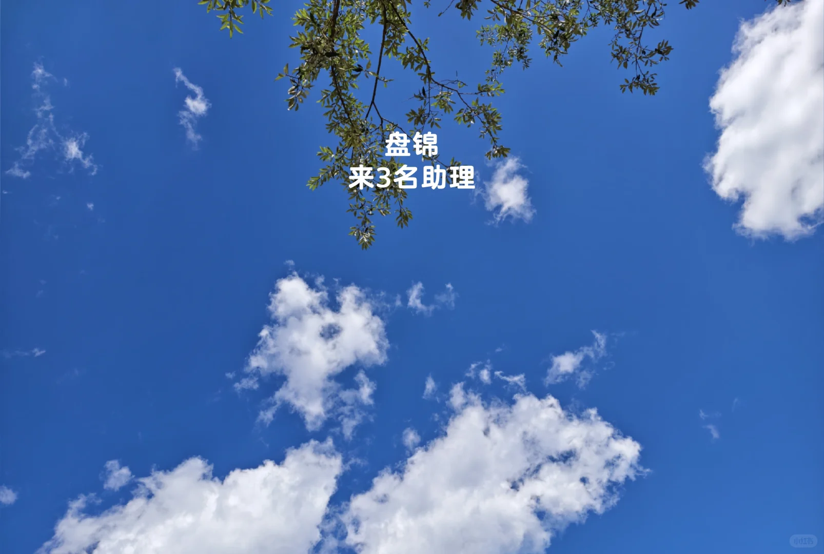 盘锦市找3名现场助理