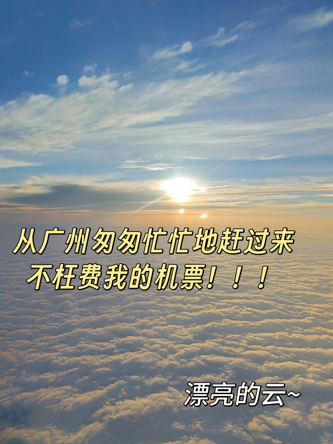 惠州市直，上岸！