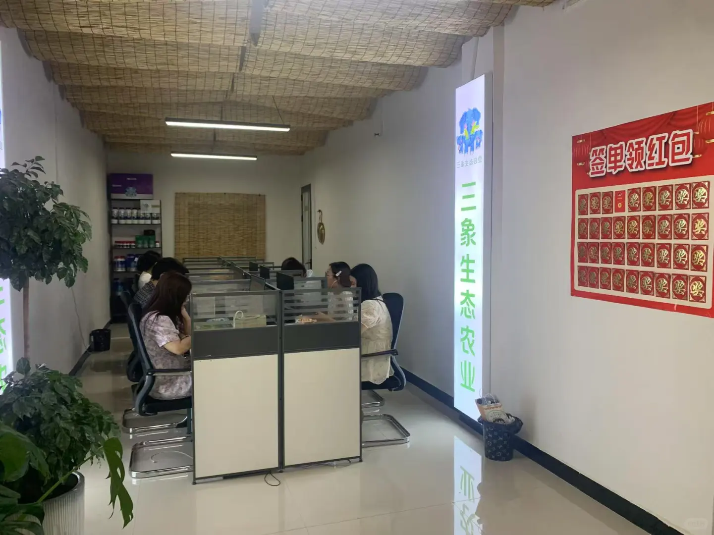 平原新区马井招聘了