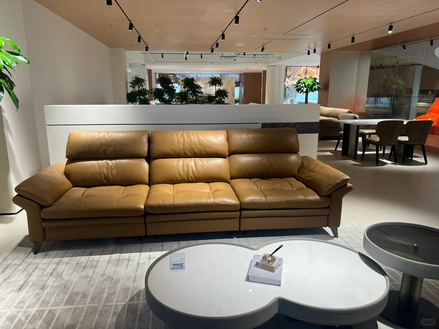 招聘中……扩招4个名额啦