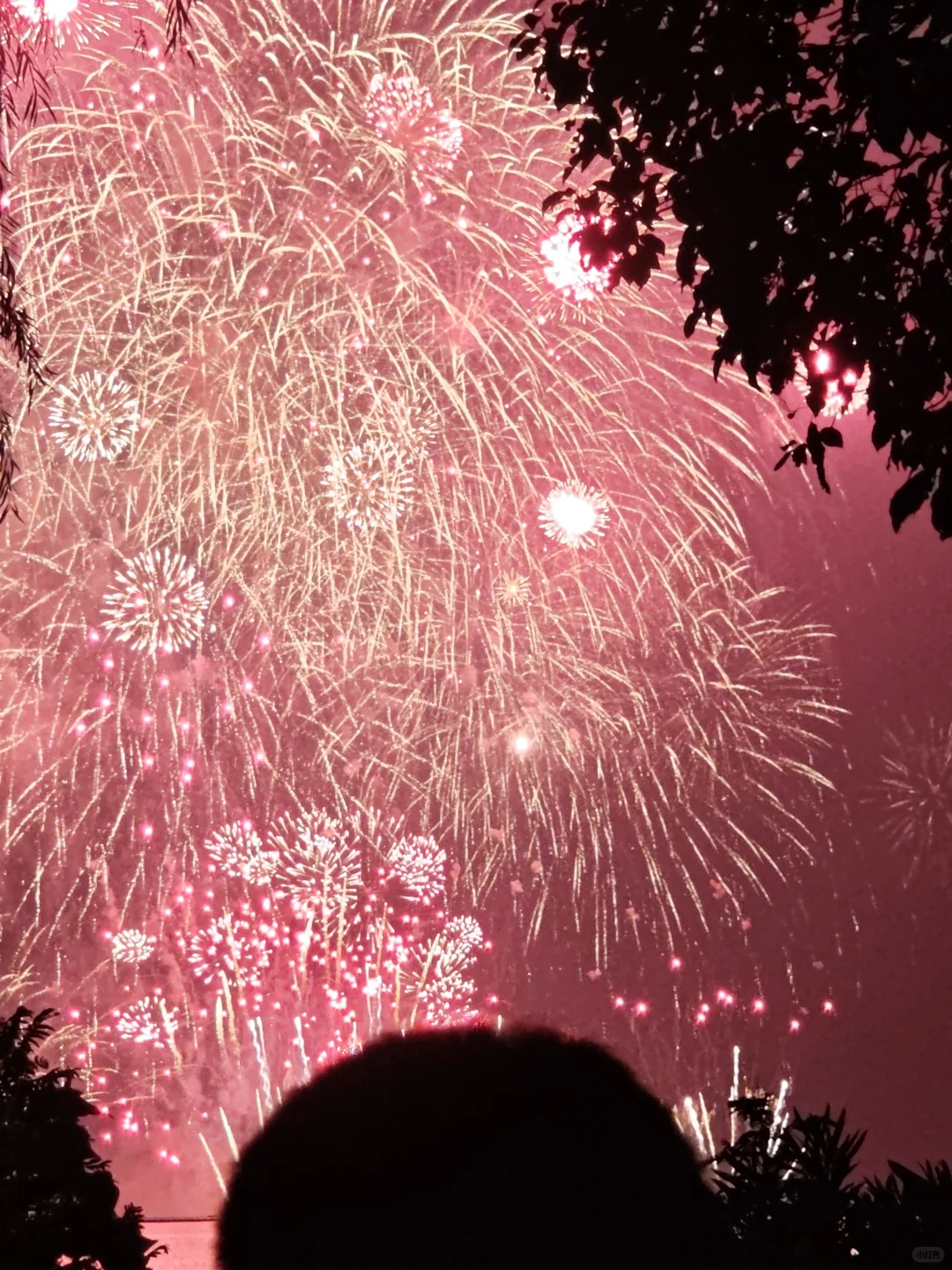 🔥新东方高薪招募课程顾问！月薪12-15K+