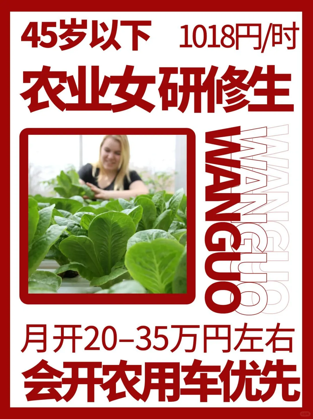 农业女 45以下 月开20-35w円 特定技能更高
