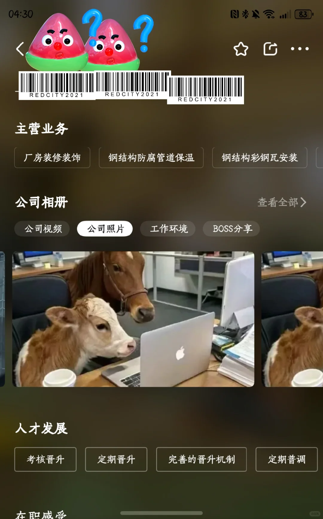 刷BOSS直聘看到了奇怪的公司照片