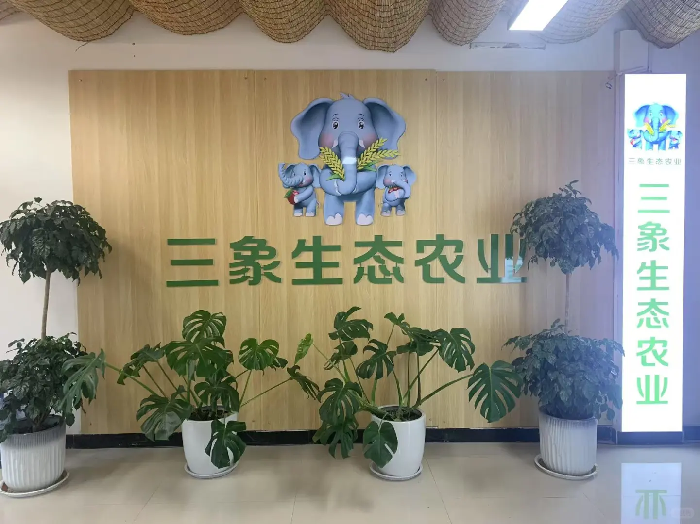 平原新区马井招聘了