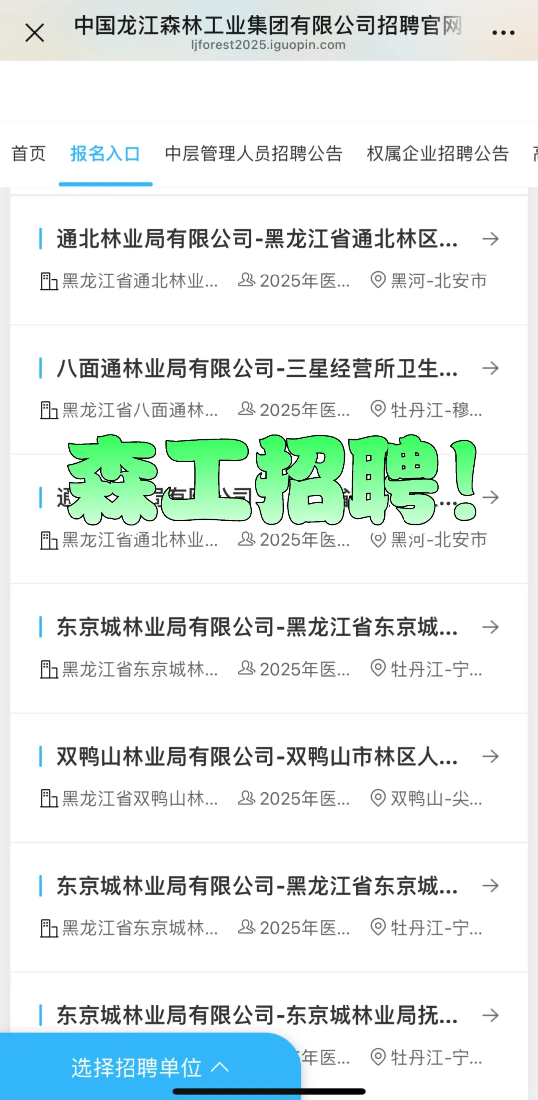 森工集团招聘！