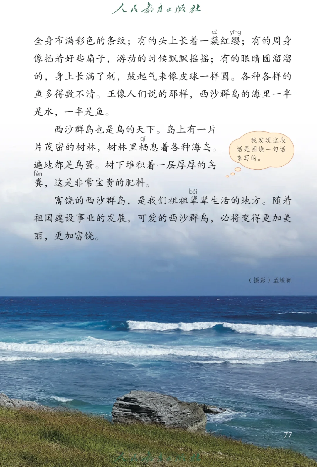 【小语教师招聘面试逐字稿】富饶的西沙群岛