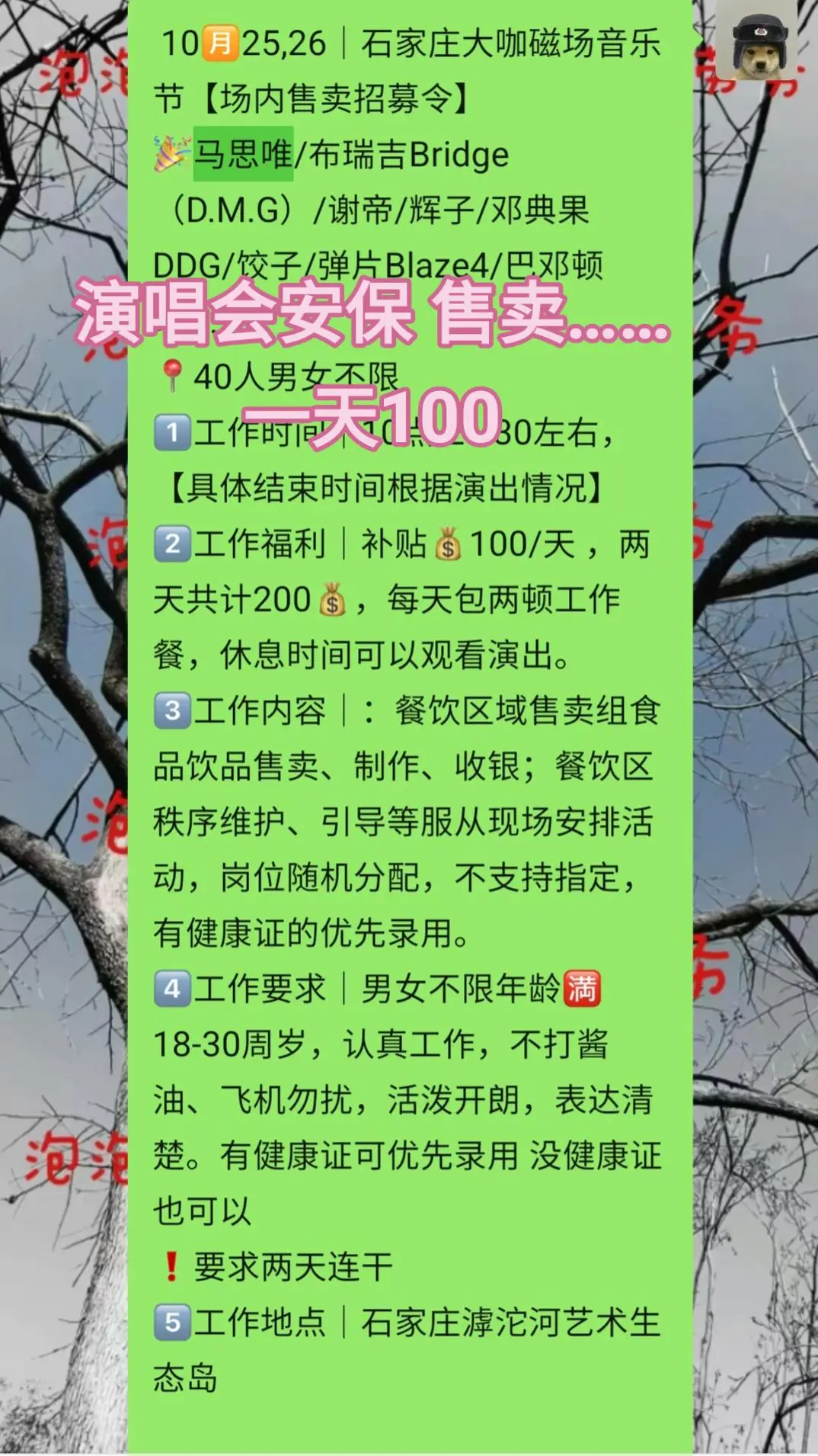 招大咖磁场志愿者兼职100➕
