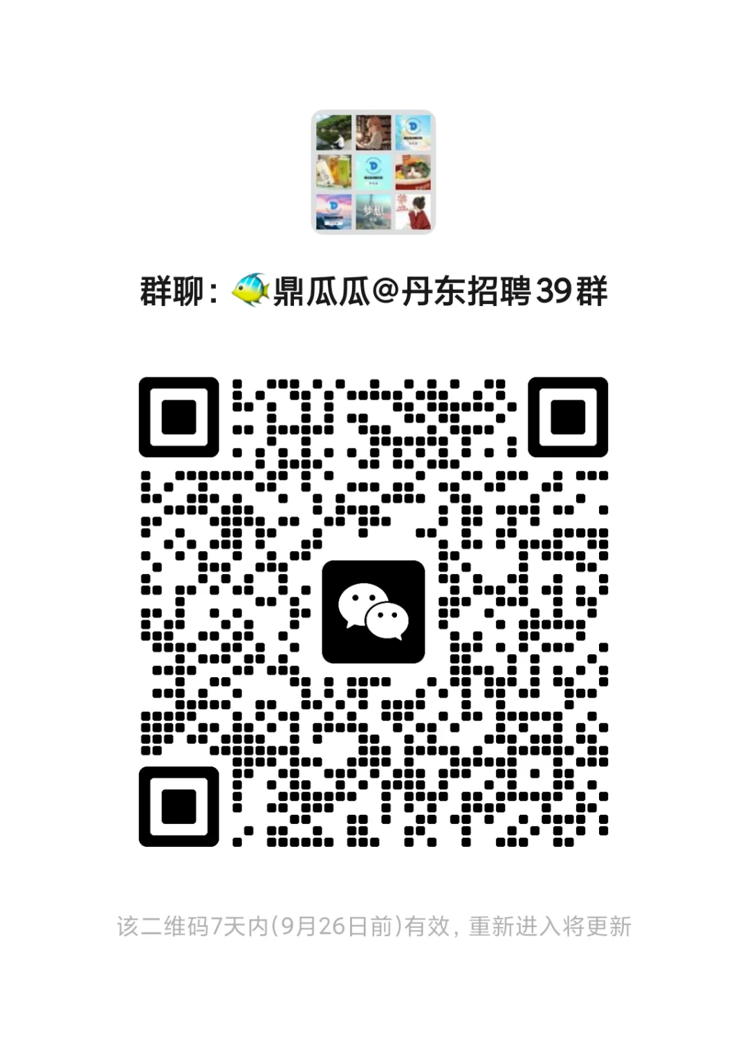 丹东求职信息群🌟