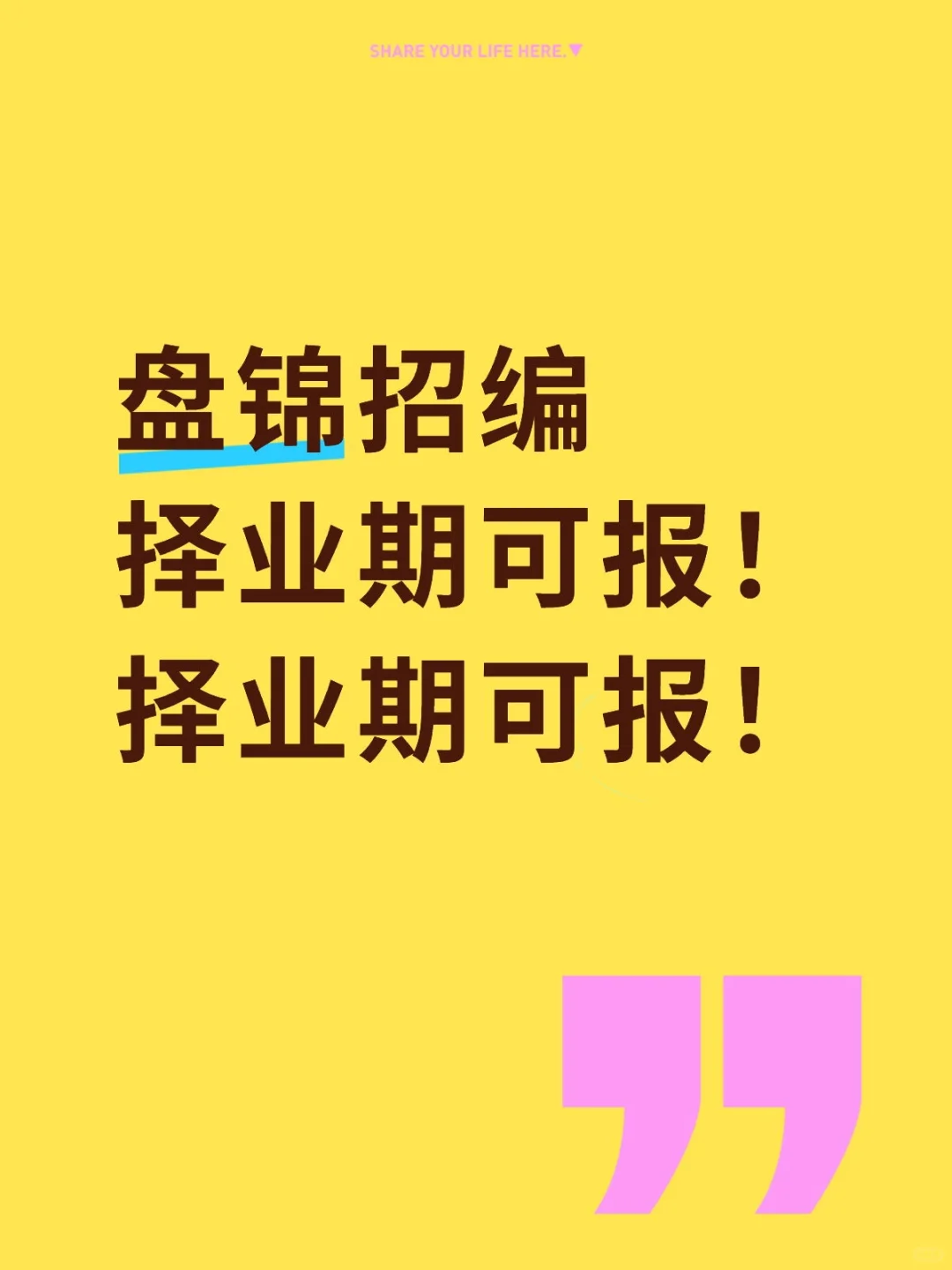 盘锦教招择业期来！本科起报