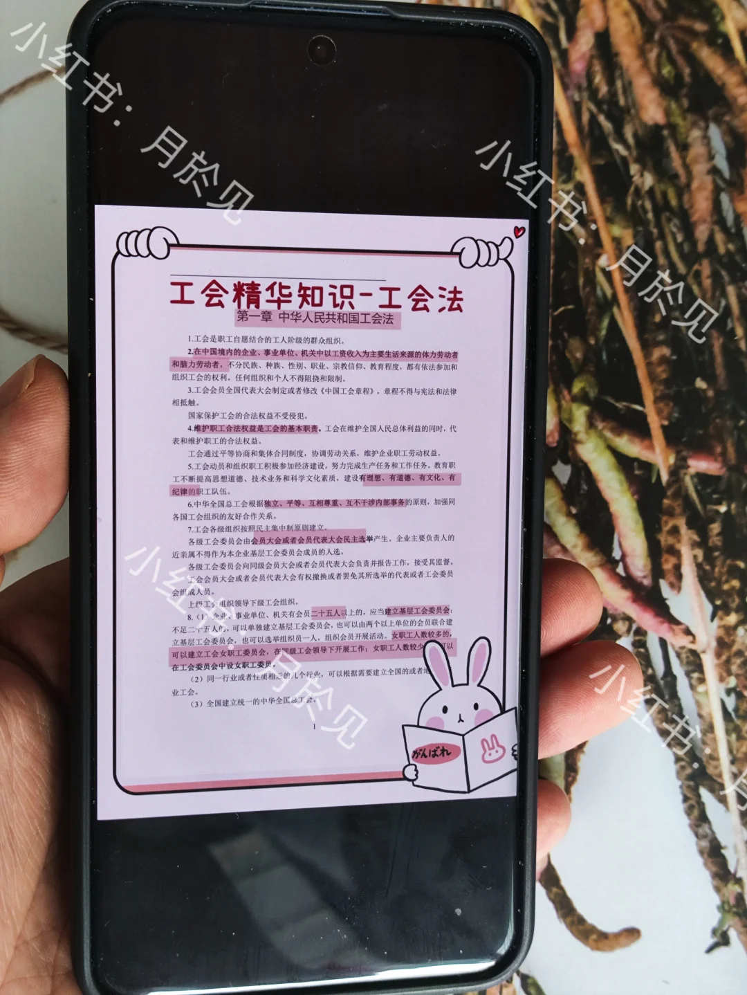 25四平市总工会工作者，临时改通知了！