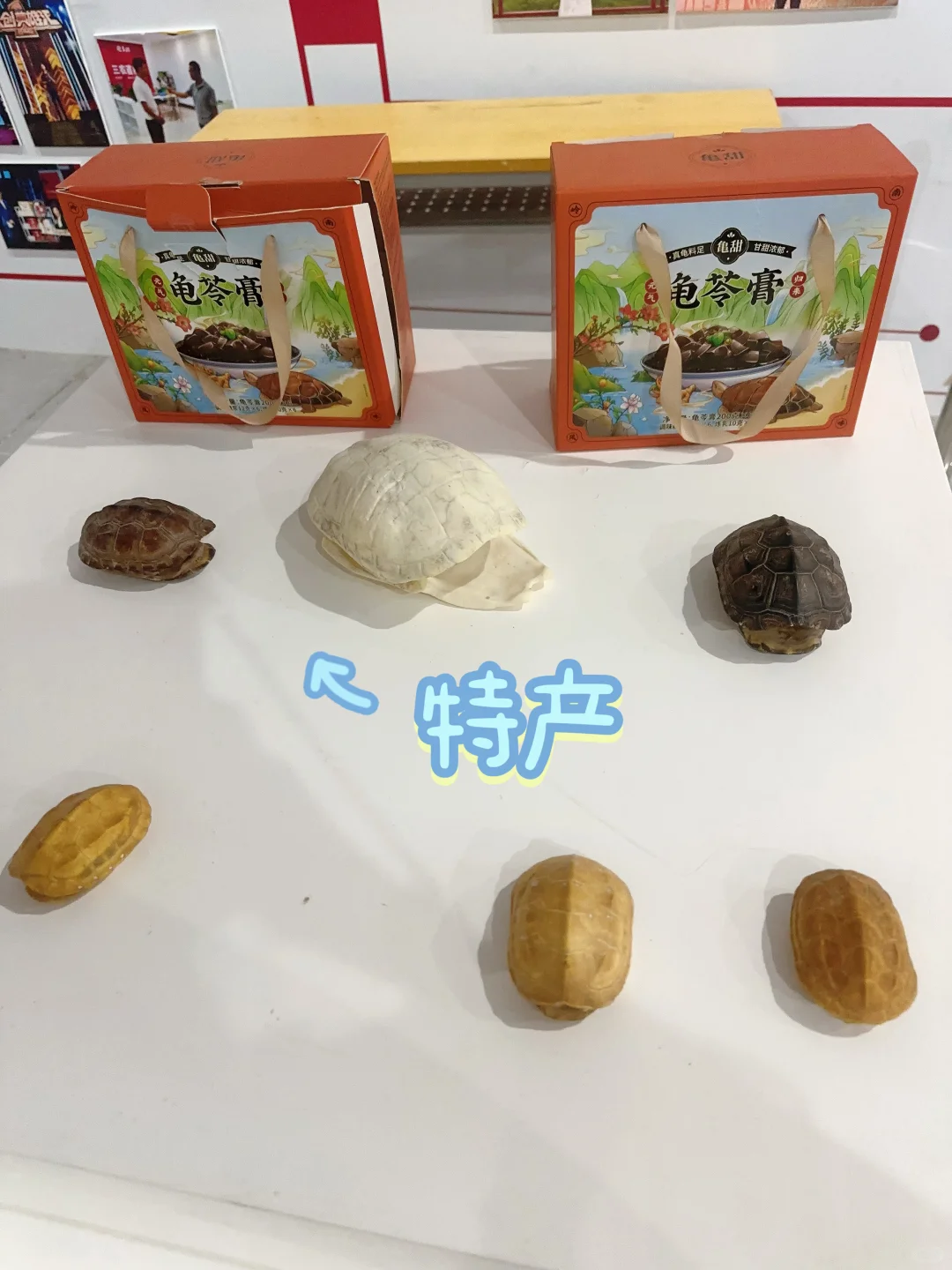 双向奔赴——华南农业大学双选会