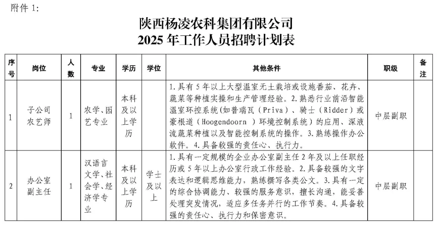招聘10人
