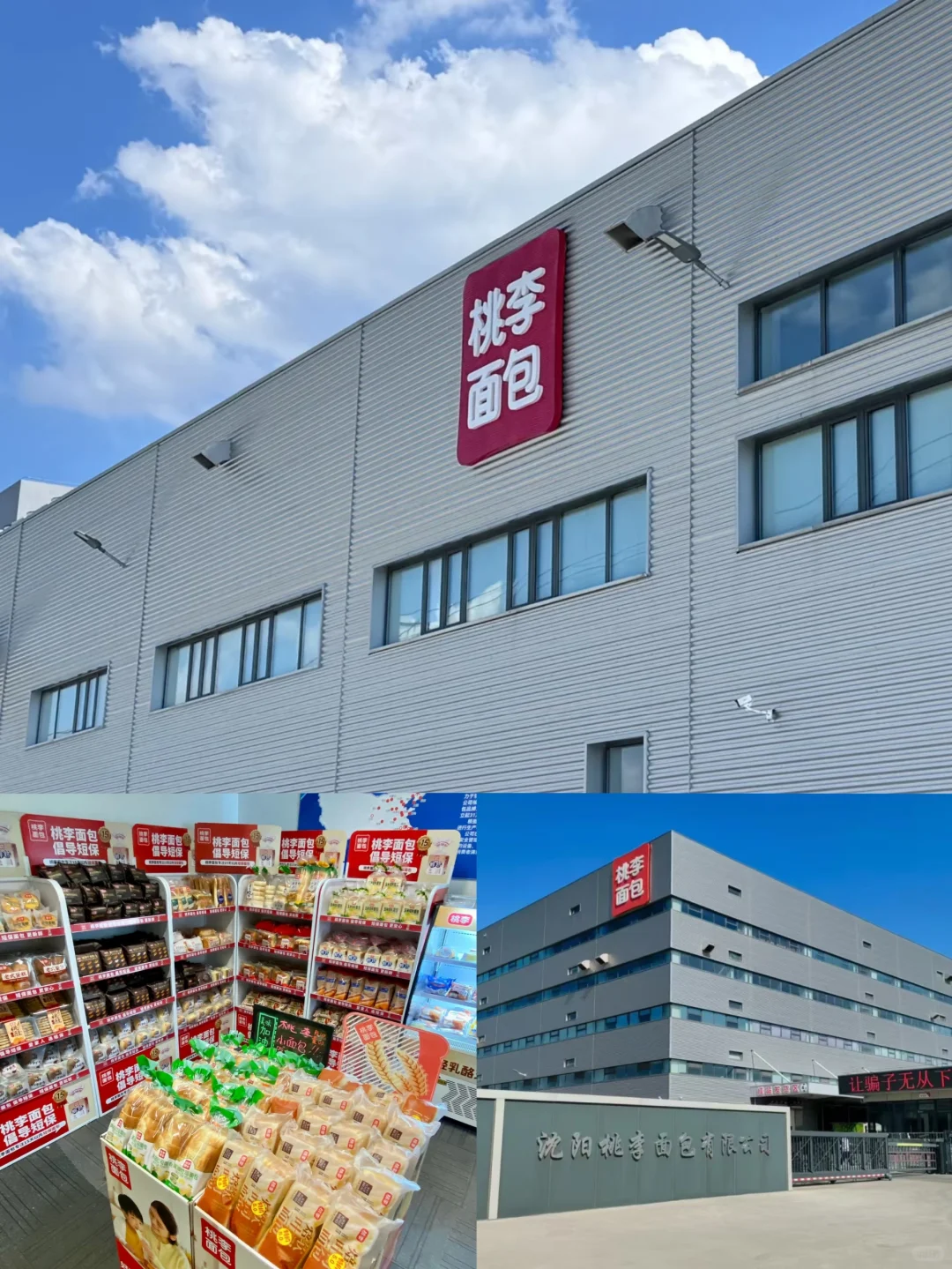 桃李面包日常寒假都有实习，有想来的吗？
