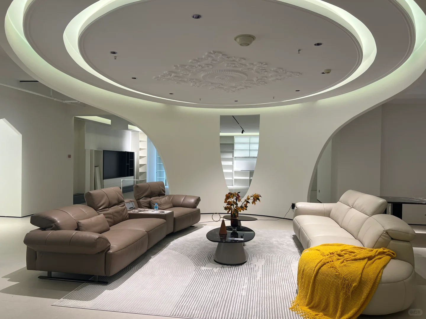 招聘中……扩招4个名额啦