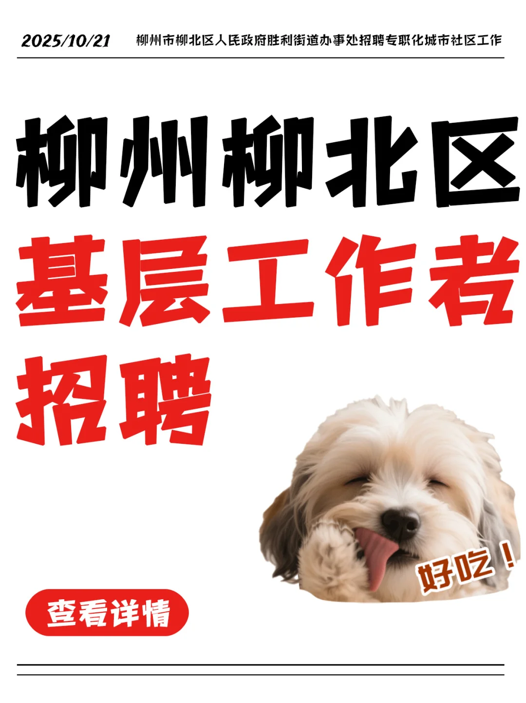 🏙️胜利街道招社区工作者啦！