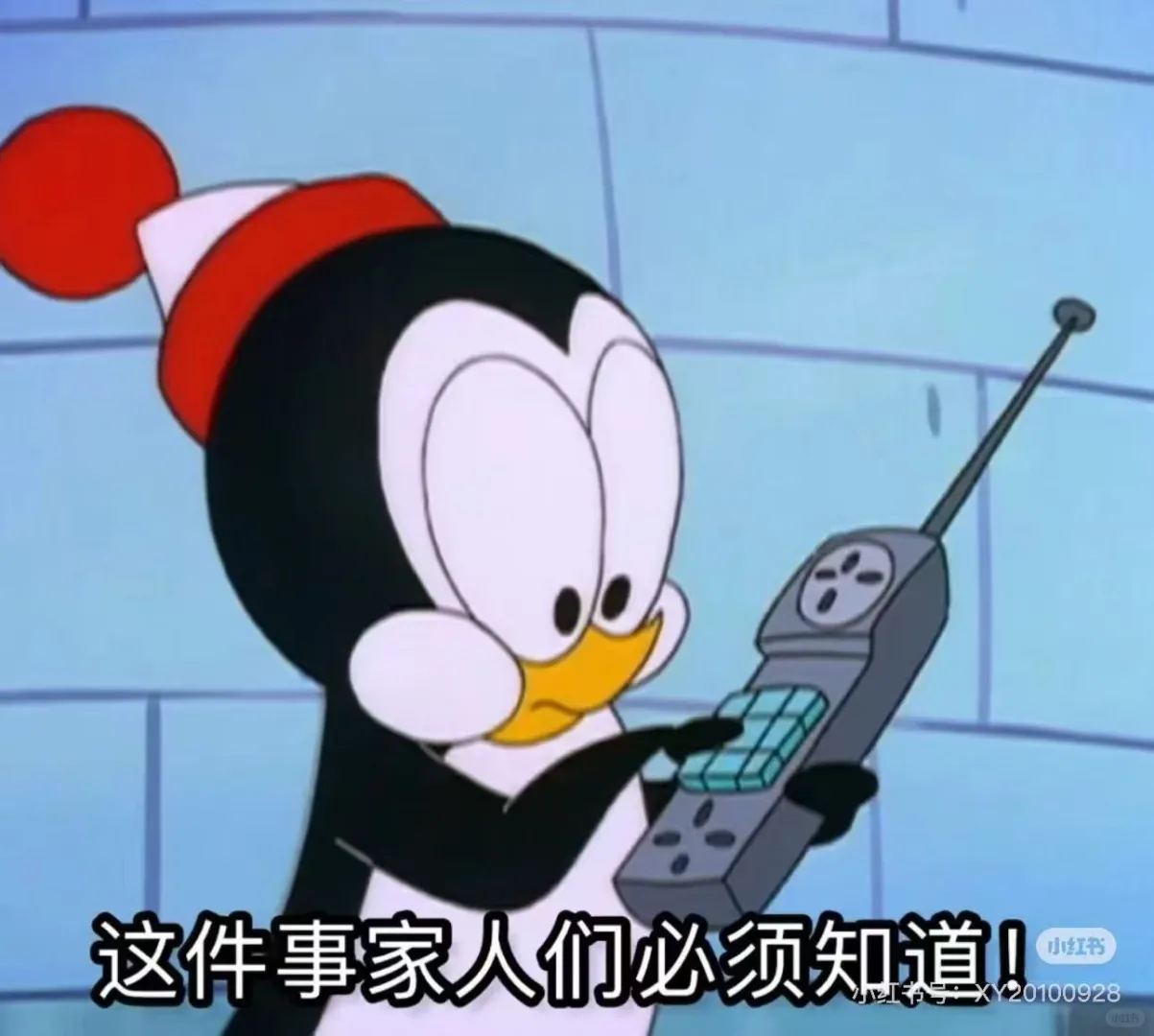 绥化招录辅警102名 大专就能报。还等啥呢！