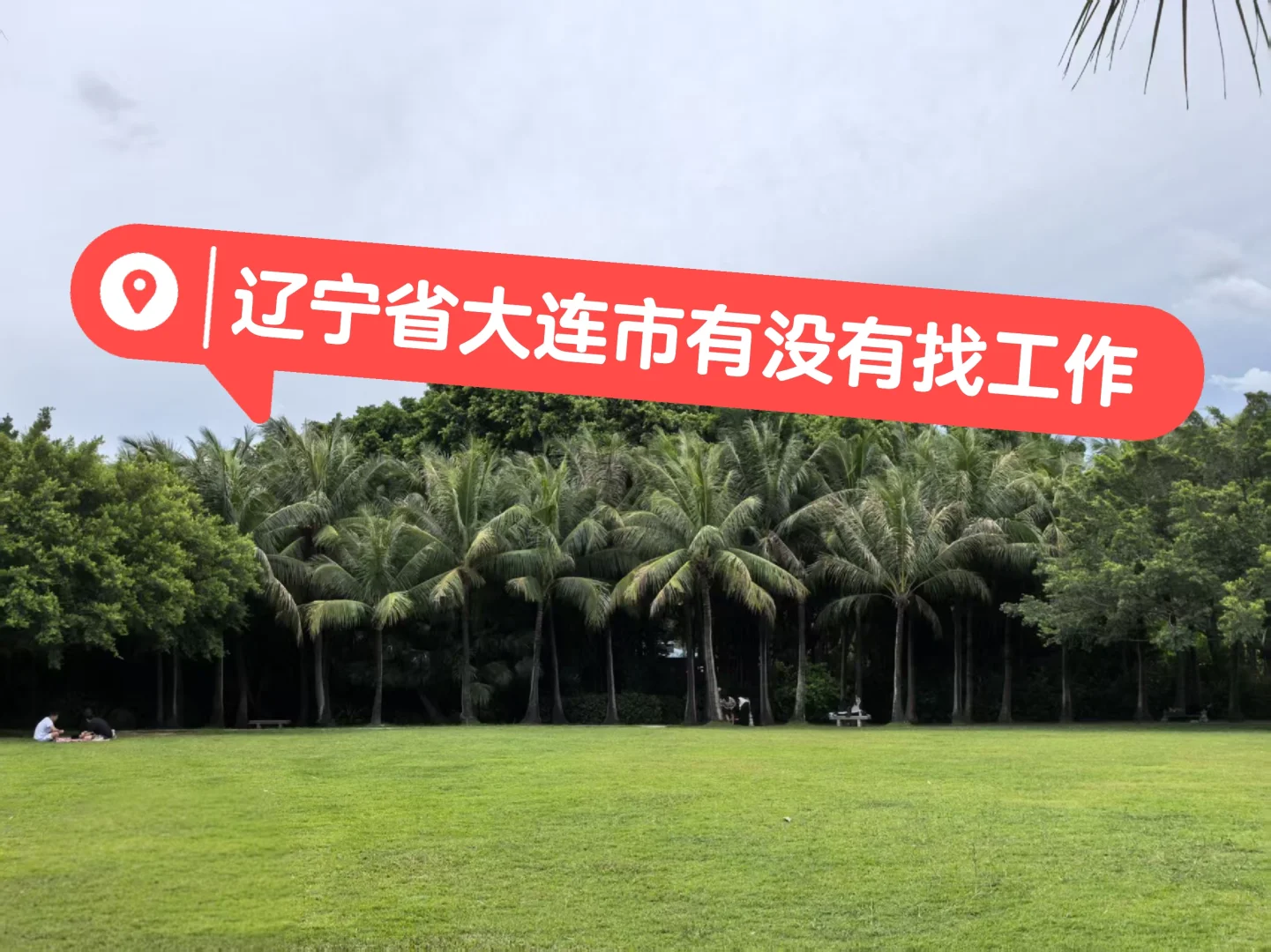 大连有没有找工作的滴滴