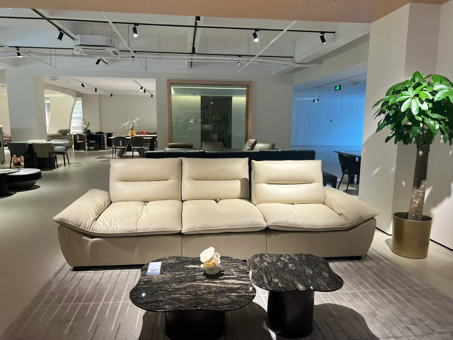 招聘中……扩招4个名额啦