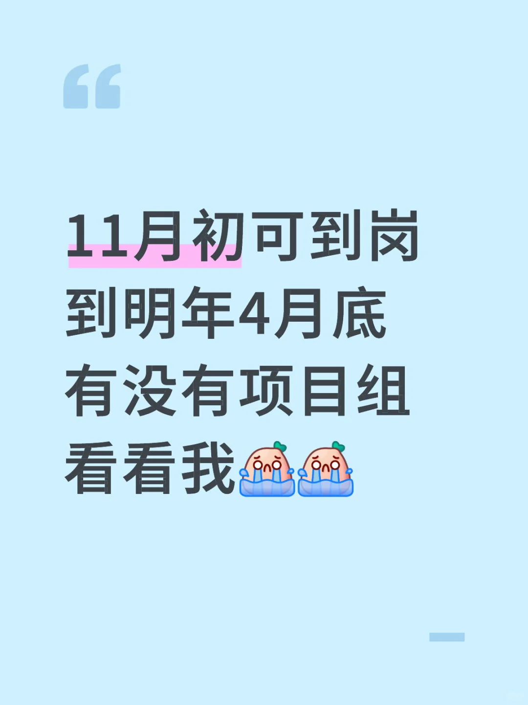 球项目组直招