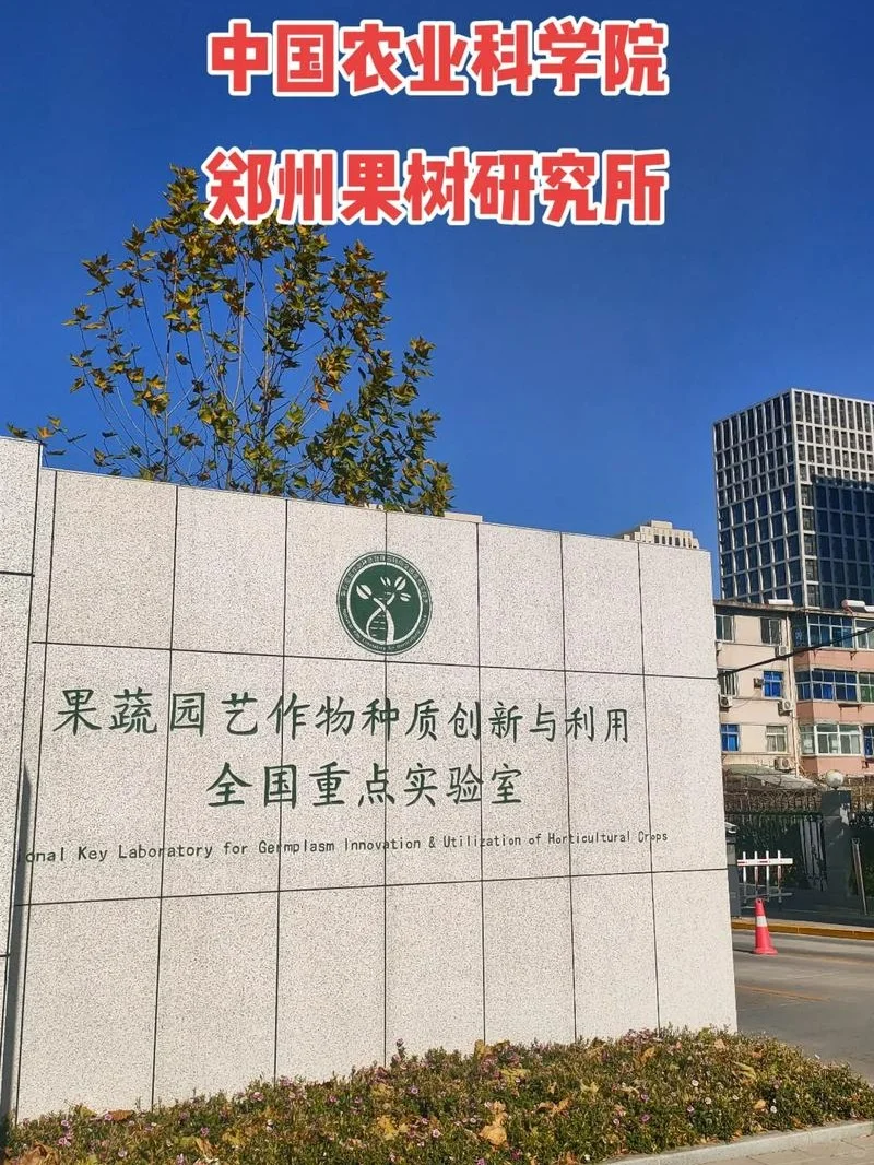 郑州果树研究所葡萄种质资源课题组招聘公告
